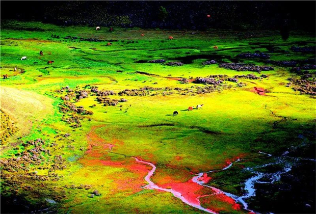 怒江旅行社：深秋童話，怒江講給你聽！