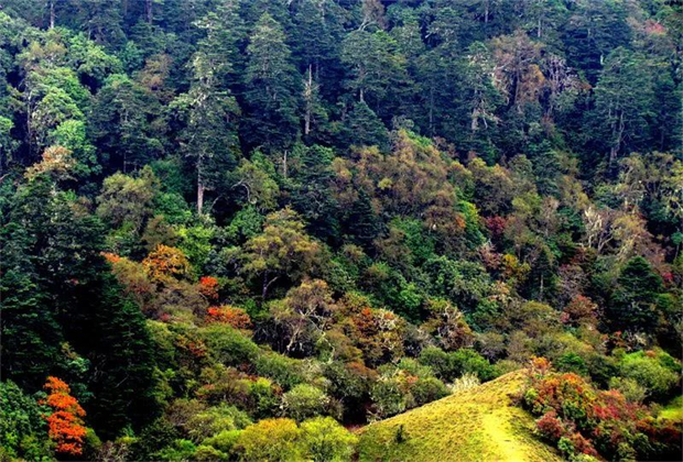 怒江旅行社：好消息！怒江新增4個國家3A級旅游景區(qū)