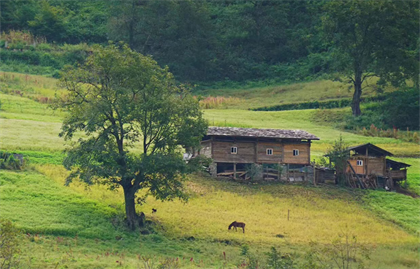 走近丙中洛，探訪隱世秘境，深入世外桃源